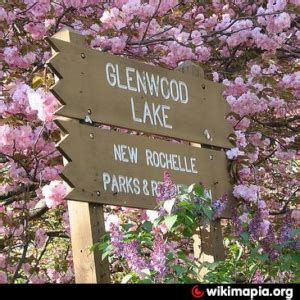 Keeping Glenwood Park Green With Poison Ivy Removal Services In New