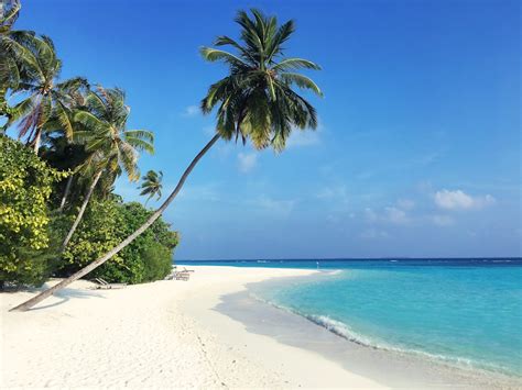 Everything You Need To Know About Gaafu Atoll Maldives