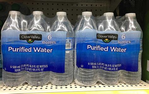 9 Best Purified Bottled Water Brands History Pros And Cons