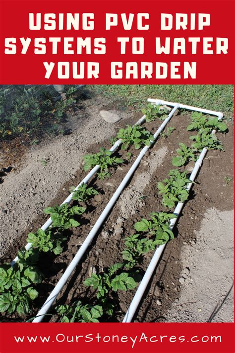 How To Install A Drip System For Vegetable Garden Drip Irrigation