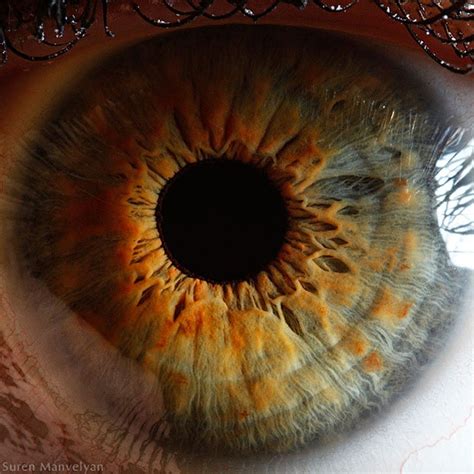 The Human Eye As Youve Never Seen It This Will Blow Your Mind