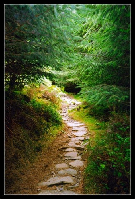 The Path Up The Mountain By Forestina Fotos On Deviantart