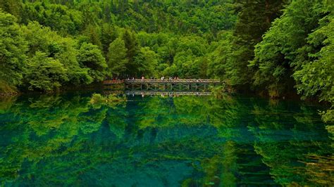 Wallpaper Trees Landscape Forest People China Lake Water