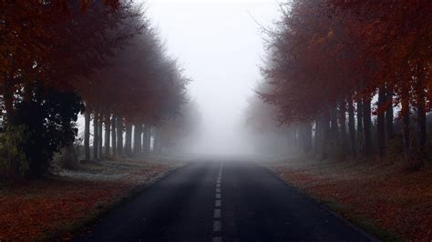 Download 1920x1080 Foggy Road Fall Autumn Trees Morning Sky