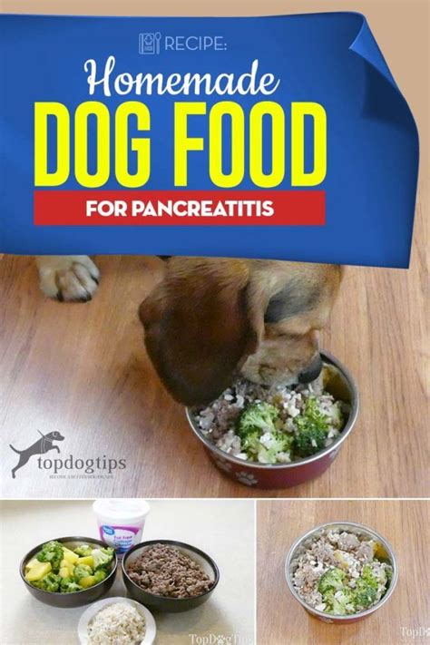 Low in calories, yet high in protein. Recipe: Homemade Dog Food for Pancreatitis | Dog food recipes
