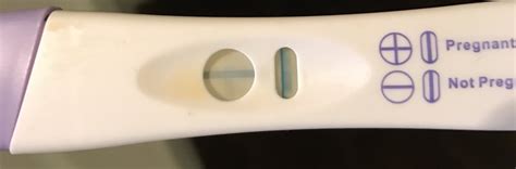12 Dpo Help Please Blue Dye Ept Turned Positive After Time Limit