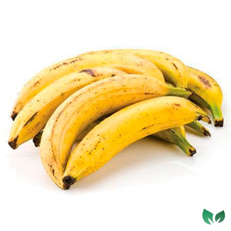 Banana Comprida 5 Unidades