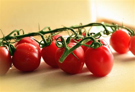 Free Picture Tomato Stem Vegetable Food Plant