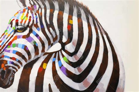 Colorful Zebra Framed Print On Canvas 48 X 48