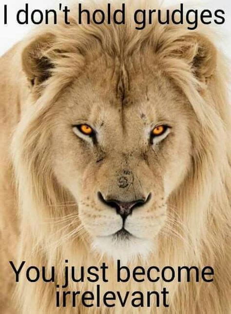 503 Best Lion Quotes Images In 2020 Lion Quotes Inspirational Quotes