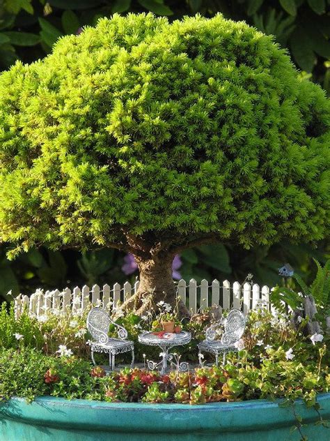 The Miniature Garden Society Putting Resources Inspiration And