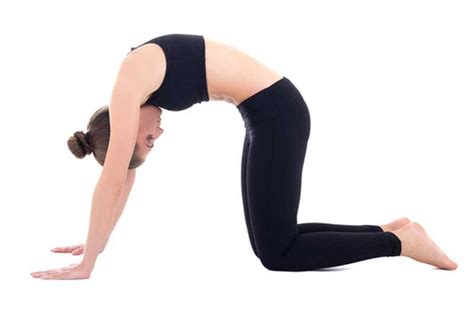 These poses are most often incorporated into the beginning of classes known as integration. 5 Stretches To Ease Your Lower-Back Pain | Geelong Medical ...