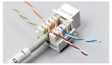 legrand cat 6 rj45 insert wiring diagram