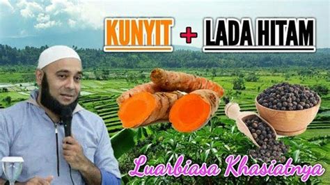 Bandingkan penawaran harga lada hitam dari berbagai supplier terbaik. Ini Manfaat Konsumsi Kunyit Dicampur Lada Hitam untuk ...