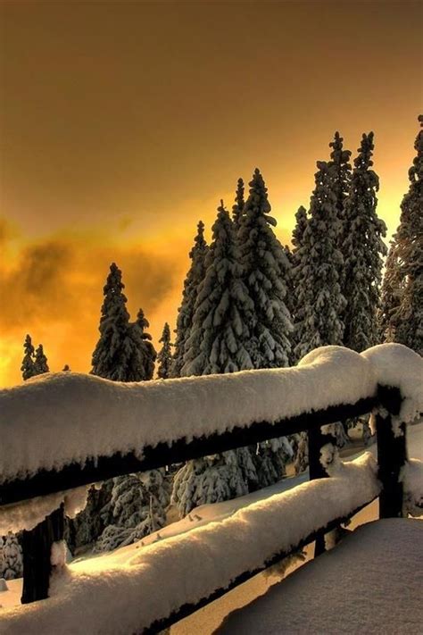 Carpathian Winter Ukraine Winter Sunset Winter Love Winter Snow