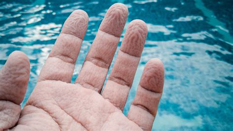 Whats Really Happening When Your Fingers Wrinkle In Water