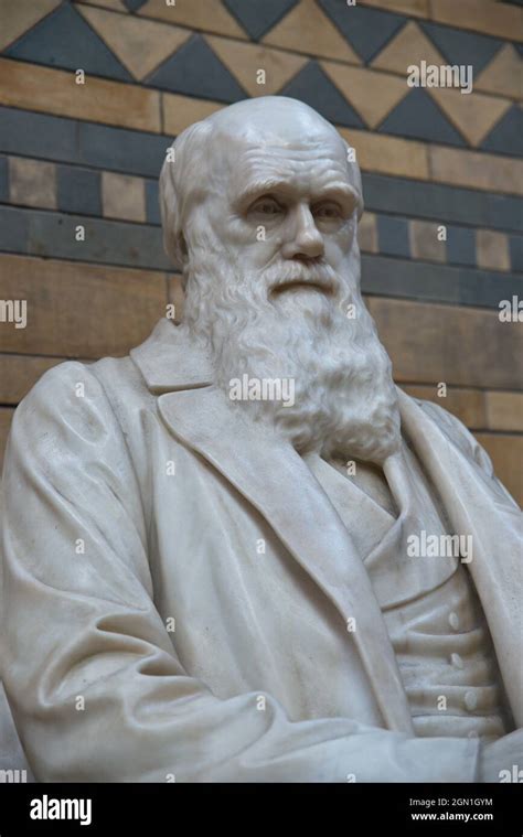 Statue Of Charles Darwin In The Natural History Museum London Uk
