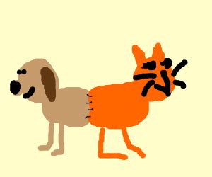 Cat · dog · free online games. Cat and Dog fusion experiment gone wrong - Drawception