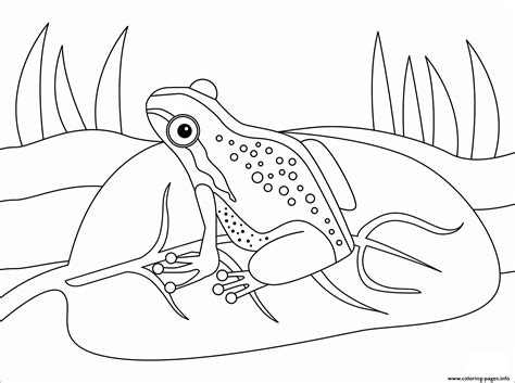 Frog Animal Simple Coloring Pages Printable