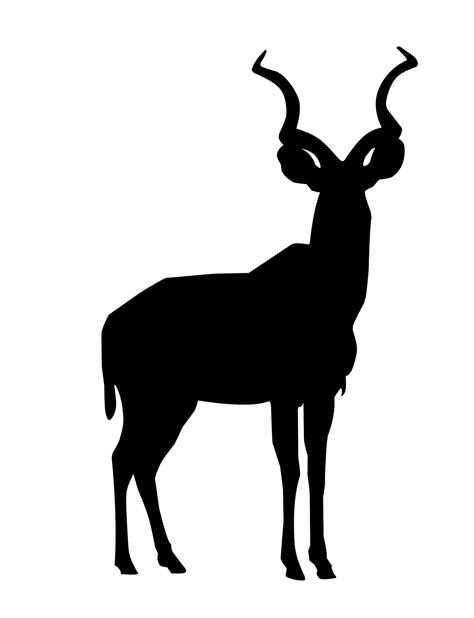 Kudu Silhouette Tier Afrikanisch Kostenloses Stock Bild Public