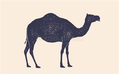Print at home or take to a print shop create your own prints and decorate with instant downloadables. Foxys Graphic (Foxysgraphic) - Illustrations
