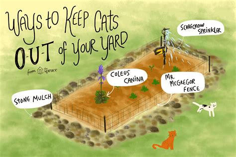 Top cat repellent plants proven to repel plants. 10 Ways to Keep Cats Out of Your Yard