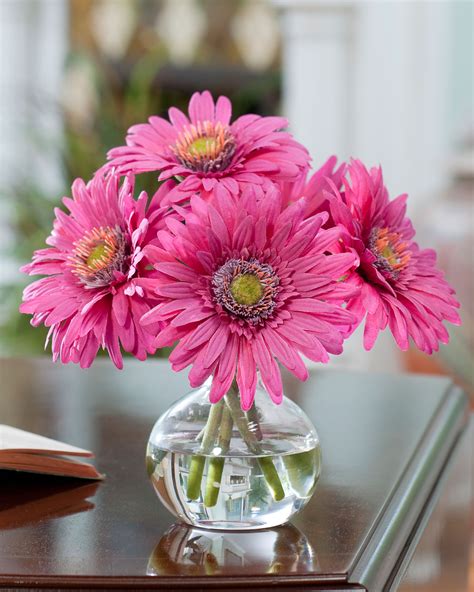 Daisy Flower Arrangements Centerpieces Best Flower Site