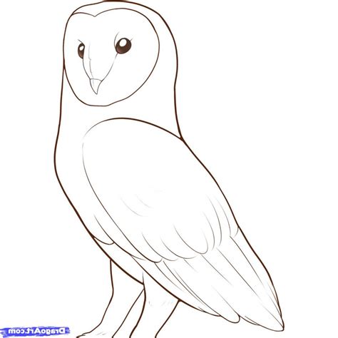 Easy Owl Drawing Step By Step At Explore