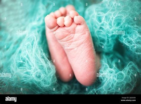 Beautiful Feet And Legs Hi Res Stock Photography And Images Alamy