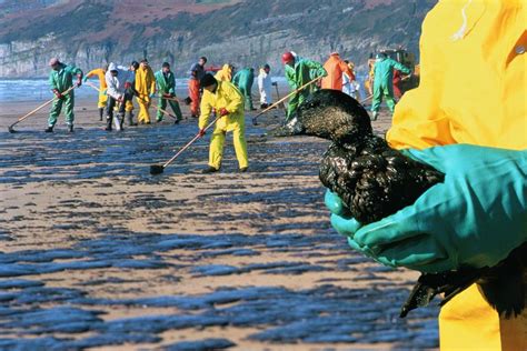 How Do Oil Spills Damage The Environment