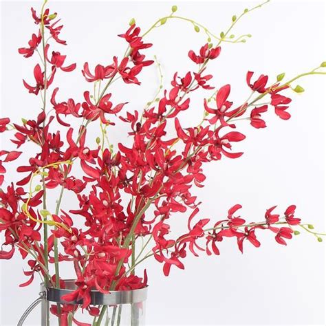 Silk Asian Style Oncidium Orchid Stem In Red 43 Tall Oncidium Orchids Oncidium Orchids