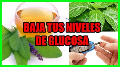 Baja Tus Niveles De Glucosa Con Estos Remedios Caseros Youtube