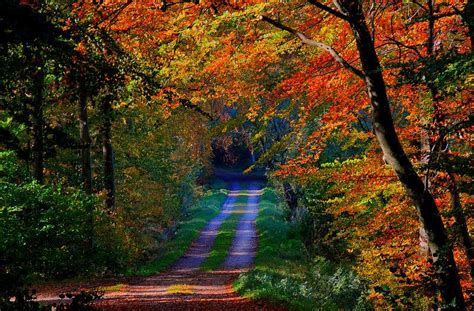 Autumn Road Road Country Roads Landscape