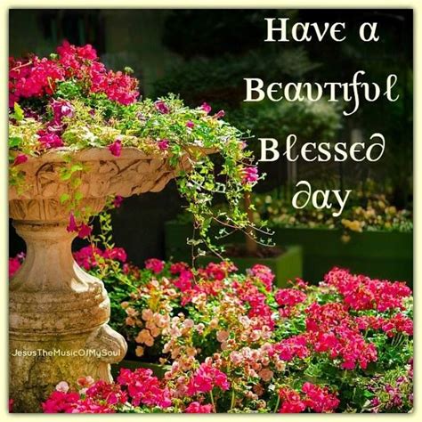Have A Beautiful Blessed Day Pictures Photos And Images For Facebook