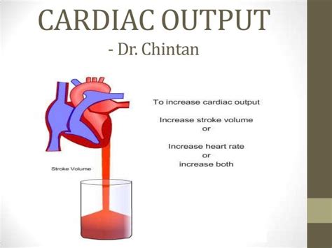 Diagram Diagram Of Cardiac Output Mydiagramonline