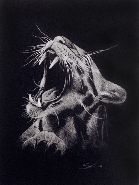 Pin By Leah Staal On Animal Cat All Other Black Paper Drawing