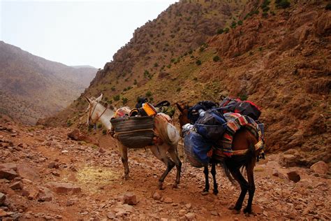 A Guide To The Best Hikes In The Atlas Mountains Morocco Finding