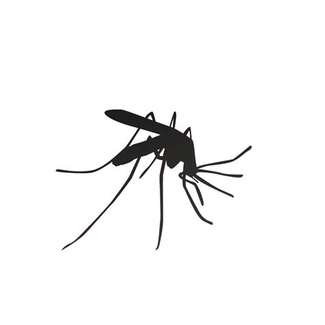 Mosquito Household Insect Repellents Pest Control Black Png Download 484