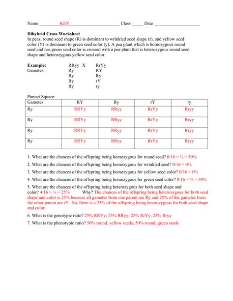 Use the chart to identify the genotypes of the following traits: Dihybrid cross worksheet answer key ...