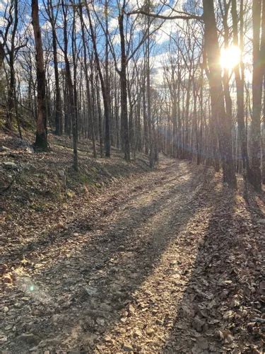 10 Best Walking Trails In Oak Mountain State Park Alltrails