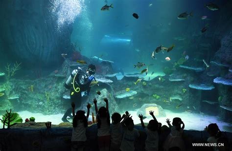Sea Life Aquarium Opens Doors To Its Newest And Only Location In China