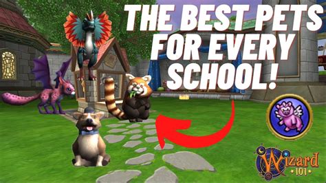 Wizard101 The Best Pets For New Wizards All Schools Youtube