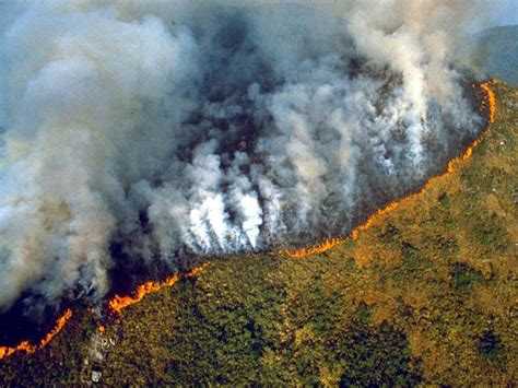 Brazil Amazon Rainforest Fire Rages At A Record Rate