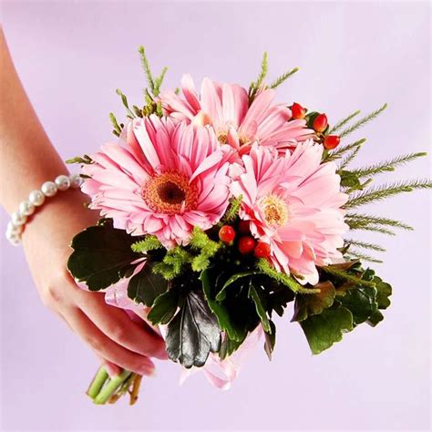 Great savings & free delivery / collection on many items. Gerbera Bouquet : Pink Gerbera & Gerberas
