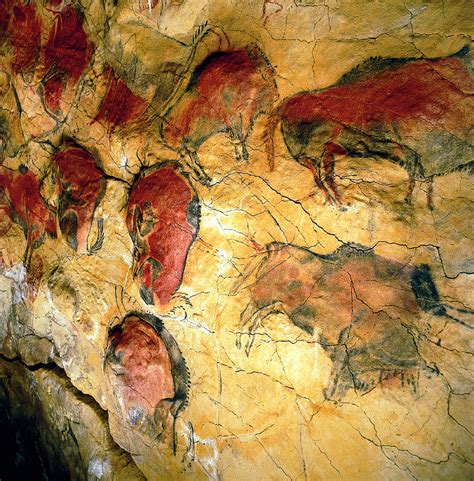 Пещеры Альтамира (72 фото)
