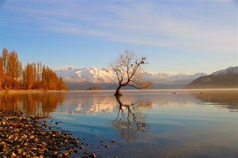 31 Of The Best Things To Do In Wanaka This Winter Little Grey Box