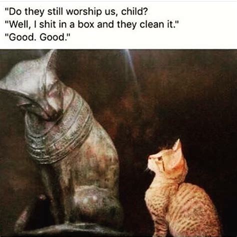 Cat Worship Egypt Meme