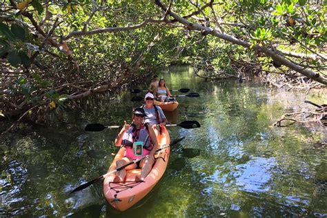 Mangroves And Manatees Guided Kayak Eco Tour Triphobo