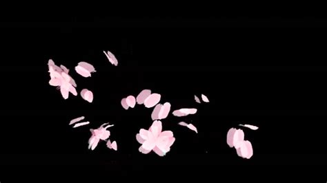 Free flower photo overlay, photoshop overlays from mroverlay. Blossoms Rose Leaves - Free Overlay Stock Footage - YouTube