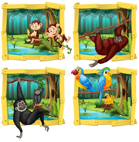 Wild Animals In Wooden Frame Stock Vector Illustration Of Amazon